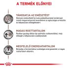 Royal Canin Veterinary Hrană uscată pentru câini cu probleme digestive 2 kg