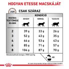 Royal Canin Veterinary Hrană uscată pentru pisici cu probleme digestive 400 g
