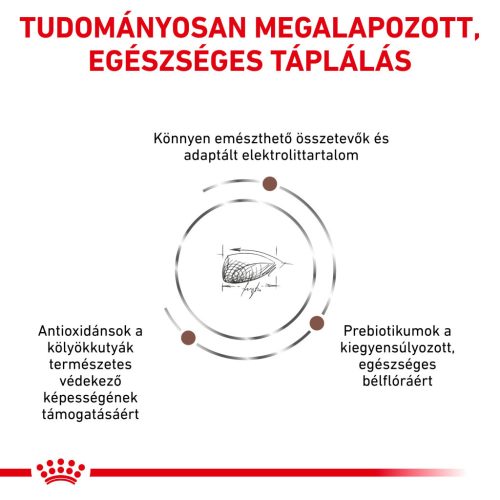Royal Canin Veterinary Hrană uscată pentru câini juniori cu probleme digestive 2,5 kg