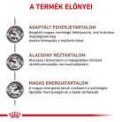 Royal Canin Veterinary Hrană uscată pentru pisici, susținerea funcției hepatice 2 kg