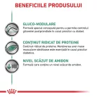 Royal Canin Veterinary Diabetic Hrană umedă pentru pisici adulte diabetice 85 g