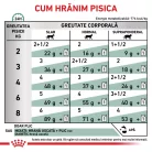 Royal Canin Veterinary Diabetic Hrană umedă pentru pisici adulte diabetice 85 g