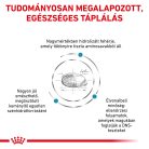 Royal Canin Veterinary Hrană uscată hipoalergenică pentru câini 3 kg