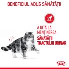 Royal Canin Urinary Care Adult Hrană uscată pentru pisici 2 kg