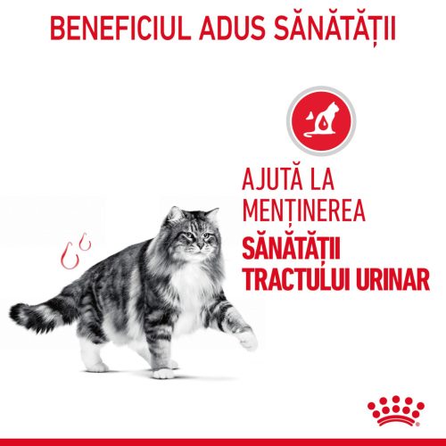 Royal Canin Urinary Care Adult Hrană uscată pentru pisici 2 kg