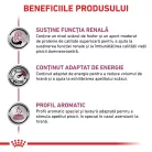 Royal Canin Veterinary Hrană umedă pentru pisici, susținerea funcției renale, cu vită 85 g