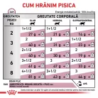 Royal Canin Veterinary Hrană umedă pentru pisici, susținerea funcției renale, cu vită 85 g