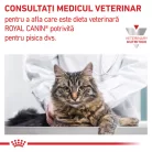 Royal Canin Veterinary Hrană umedă pentru pisici, susținerea funcției renale, cu vită 85 g