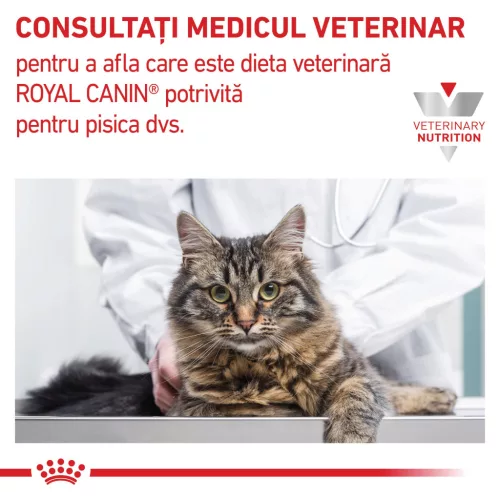 Royal Canin Veterinary Hrană umedă pentru pisici, susținerea funcției renale, cu vită 85 g