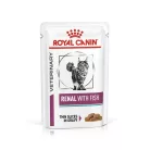 Royal Canin Veterinary Hrană umedă pentru pisici, susținerea funcției renale, cu pește 85 g