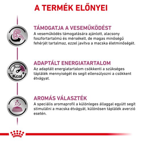 Royal Canin Veterinary Hrană umedă pentru pisici, susținerea funcției renale, cu pește 12x85 g