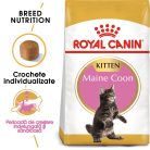 Royal Canin Maine Coon Kitten Hrană uscată pentru pisici junior 2 kg