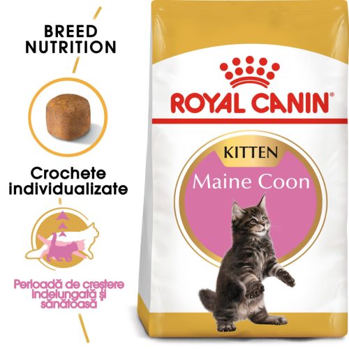 Royal Canin Maine Coon Kitten Hrană uscată pentru pisici junior 2 kg
