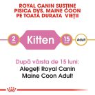 Royal Canin Maine Coon Kitten Hrană uscată pentru pisici junior 2 kg