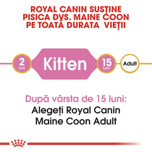 Royal Canin Maine Coon Kitten Hrană uscată pentru pisici junior 2 kg