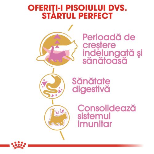 Royal Canin Maine Coon Kitten Hrană uscată pentru pisici junior 2 kg