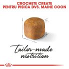 Royal Canin Maine Coon Kitten Hrană uscată pentru pisici junior 2 kg