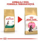 Royal Canin Maine Coon Kitten Hrană uscată pentru pisici junior 2 kg
