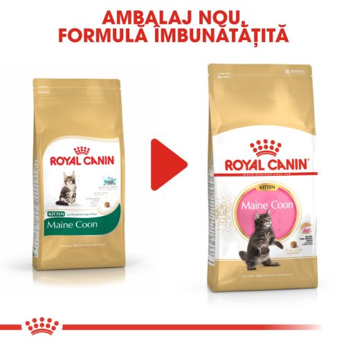 Royal Canin Maine Coon Kitten Hrană uscată pentru pisici junior 2 kg