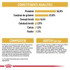 Royal Canin Maine Coon Kitten Hrană uscată pentru pisici junior 2 kg