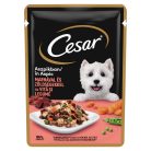 Cesar Hrană umedă pentru câini adulți, cu vită fragedă și legume în aspic 100 g
