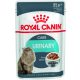 Royal Canin Urinary Care Hrană umedă pentru pisici, susținerea tractului urinar 85 g