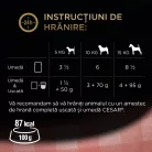 Cesar Hrană umedă pentru câini adulți, selecții de carne în sos 4 x 100 g