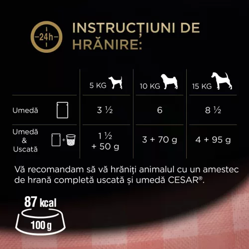 Cesar Hrană umedă pentru câini adulți, selecții de carne în sos 4 x 100 g