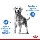 Royal Canin Medium Light Weight Care Adult Hrană uscată pentru câini 3 kg