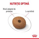 Royal Canin Medium Light Weight Care Adult Hrană uscată pentru câini 3 kg