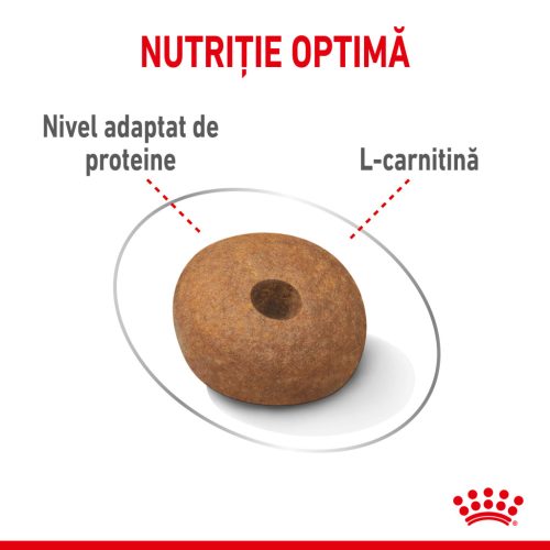 Royal Canin Medium Light Weight Care Adult Hrană uscată pentru câini 3 kg