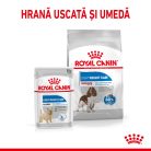 Royal Canin Medium Light Weight Care Adult Hrană uscată pentru câini 3 kg