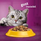 Whiskas hrană uscată cu pui pentru pisici adulte 1,4 kg