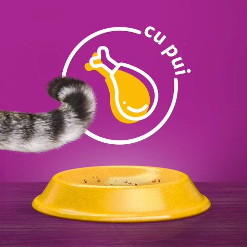 Whiskas hrană uscată cu pui pentru pisici adulte 1,4 kg