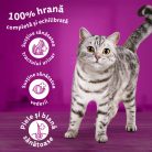 Whiskas hrană uscată cu pui pentru pisici adulte 1,4 kg