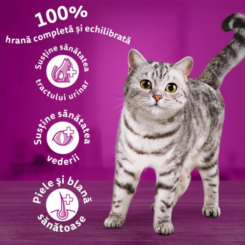 Whiskas hrană uscată cu vită pentru pisici adulte 1,4 kg