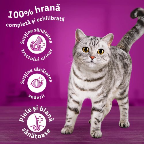 Whiskas hrană uscată cu ton pentru pisici adulte 1,4 kg