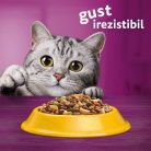 Whiskas hrană uscată pentru pisici adulte sterilizate 14 kg