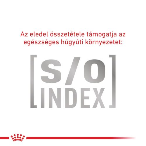 Royal Canin Veterinary Hrană uscată pentru pisici diabetice 0,4 kg