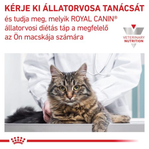 Royal Canin Veterinary Hrană uscată pentru pisici diabetice 0,4 kg