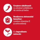 Pedigree Junior Hrană umedă căței, selecție mixtă în aspic 12 x 100 g