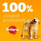 Pedigree Junior Hrană umedă căței, selecție mixtă în aspic 12 x 100 g