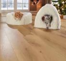 AniOne Cosy Dream Culcuș pentru animale M