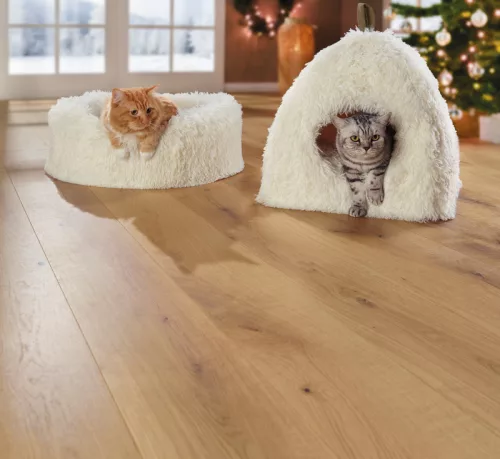 AniOne Cosy Dream Culcuș pentru animale M