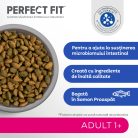 Perfect Fit hrană uscată pentru pisici adulte cu somon 750 g
