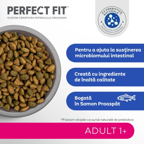 Perfect Fit hrană uscată pentru pisici adulte cu somon 750 g