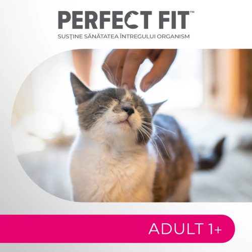 Perfect Fit hrană uscată pentru pisici adulte cu somon 750 g