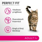 Perfect Fit hrană uscată pentru pisici adulte cu somon 750 g