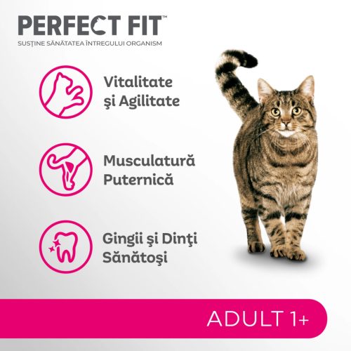 Perfect Fit hrană uscată pentru pisici adulte cu somon 750 g