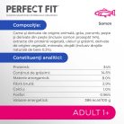 Perfect Fit hrană uscată pentru pisici adulte cu somon 750 g